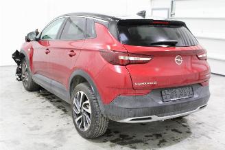 Opel Grandland X picture 4