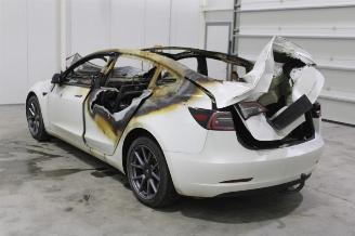 Tesla Model 3  picture 5