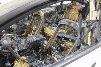 Tesla Model 3  picture 9