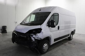 Auto incidentate Opel Movano  2022/12