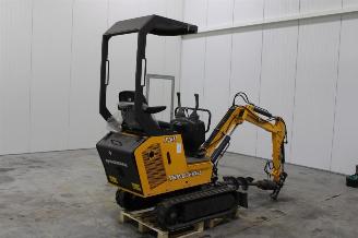 Rhinoceros XN11  picture 3