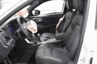 Borgward BX7 TS picture 10