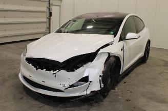 Auto incidentate Tesla Model X  2023/12