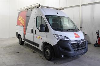 Opel Movano  picture 2