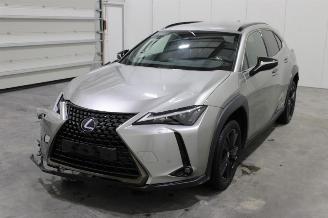 škoda osobní automobily Lexus UX  2021/5