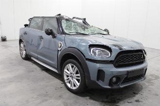 Mini Cooper _COUNTRYMAN picture 3
