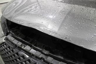 DS Automobiles DS 7 Crossback DS7 Crossback picture 12