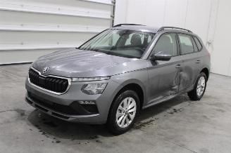 Auto incidentate Skoda Kamiq  2025/4