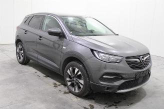 Opel Grandland X picture 2