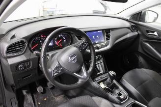 Opel Grandland X picture 8