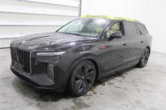 disassembly passenger cars Hongqi EHS9 E-HS9 2024/5