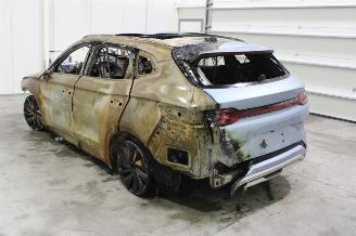 BYD Seal U  picture 5