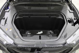Ford Mustang Mach-e  picture 13