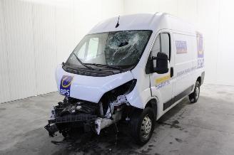 uszkodzony samochody osobowe Opel Movano  2022/12