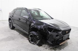 Cupra Formentor  picture 2