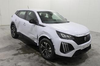 Peugeot 2008  picture 2