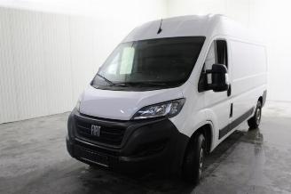 Purkuautot passenger cars Fiat Ducato  2023/6