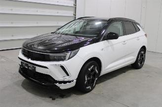 Auto incidentate Opel Grandland X 2023/4