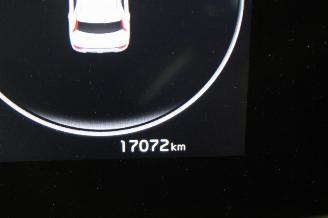 Kia Niro  picture 13