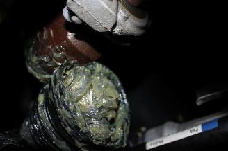 Peugeot 308  picture 19