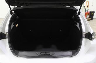 Peugeot 308  picture 18