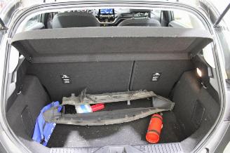 Ford Fiesta  picture 16