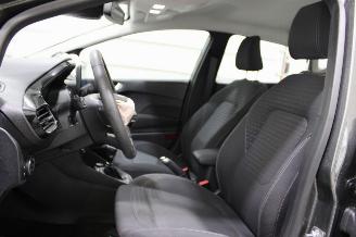 Ford Fiesta  picture 20