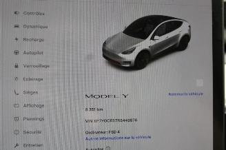 Tesla Model Y  picture 14