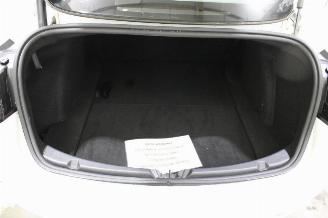 Tesla Model 3  picture 19