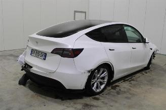 Tesla Model Y  picture 3