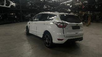 Ford Kuga  picture 5