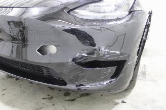 Tesla Model Y  picture 5