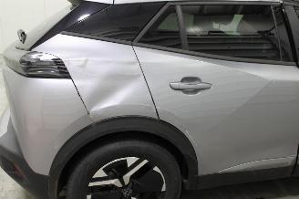 Peugeot 2008  picture 20