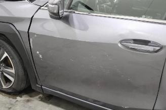 Lexus UX  picture 19