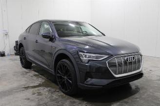 Unfallwagen Audi E-tron  2022/1