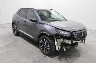 Peugeot 2008  picture 2