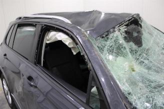 Volkswagen Tiguan  picture 8