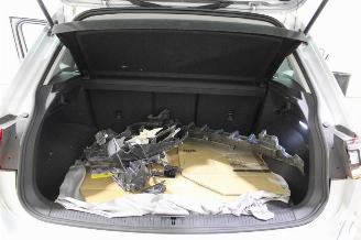 Volkswagen Tiguan  picture 19