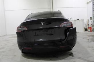 Tesla Model Y  picture 18