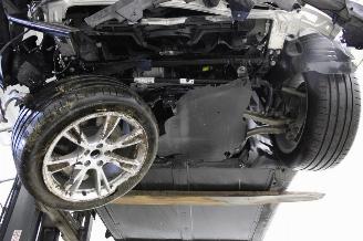 Tesla Model Y  picture 13