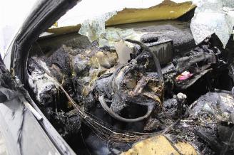 Seat Arona  picture 10