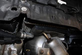 Citroën C4 cactus  picture 17