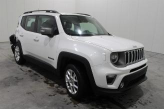 Jeep Renegade  picture 2
