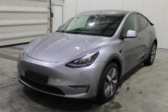 uszkodzony samochody osobowe Tesla Model Y  2025/1