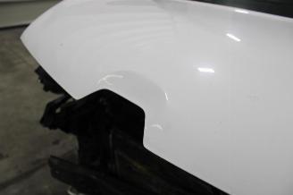 Renault Kangoo  picture 23