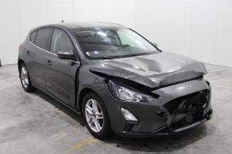 Ford Focus  picture 2
