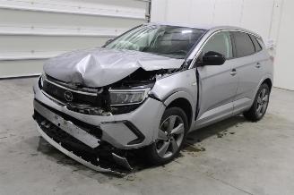 Vaurioauto  passenger cars Opel Grandland X 2024/4