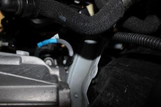 Renault Clio  picture 17