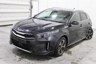 Schadeauto Kia Xceed  2024/1