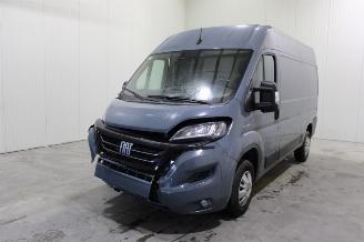  Fiat Ducato  2021/8